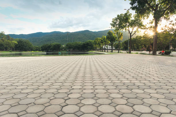 Best Commercial Driveway Pavers  in Pierson, FL