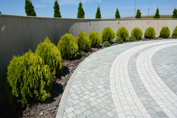 Reasons to Select Us for Your Driveway Paving Requirements in Pierson, FL